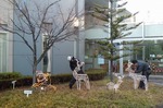 クリスマスイルミネーション2012
